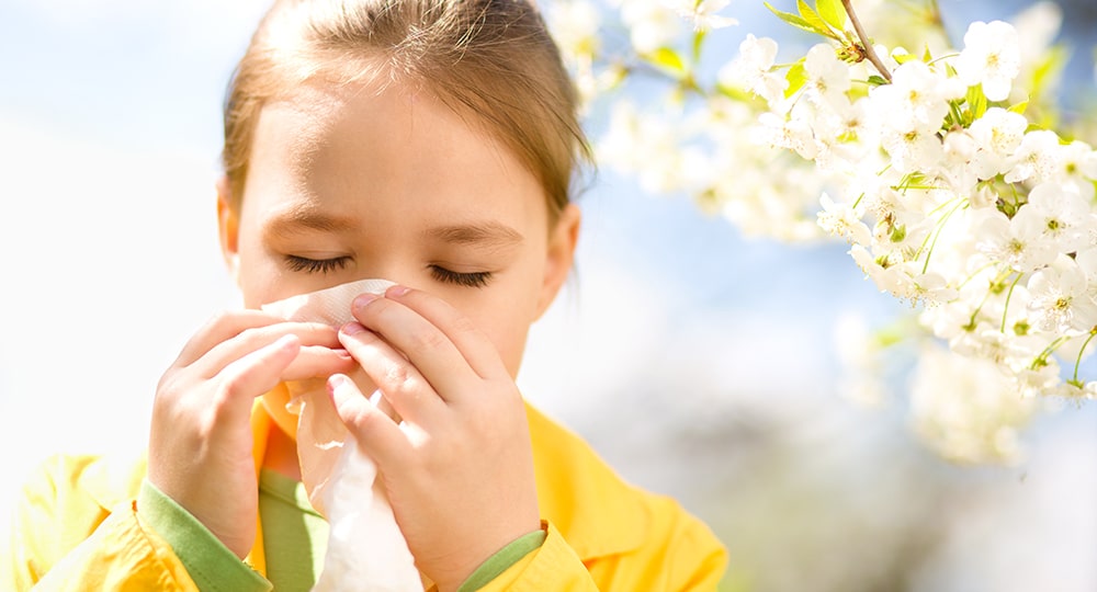 Allergy Treatment Center in Gainesville Florida