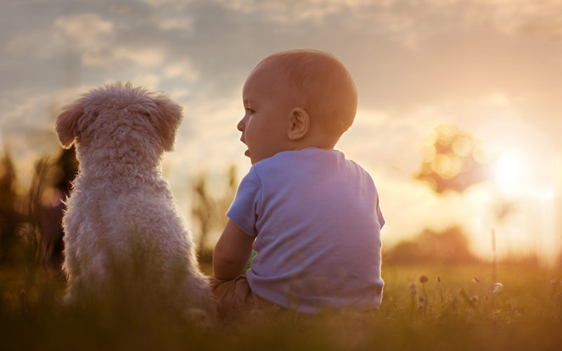 Babies With a Dog in the Home May Have a Lower Risk of Asthma and Eczema